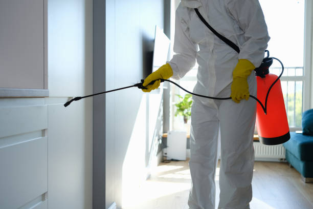 Professional Mold Removal in Marion Oaks, FL